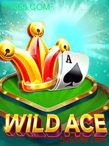 WildAce: A Excitante Nova Aventura em 5V555.COM